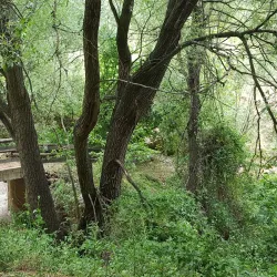 Qadisha Valley (near Batroun) - Batroun