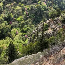 Qadisha Valley (near Batroun) - Batroun