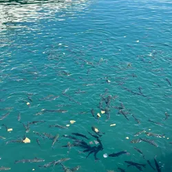 Zaitunay Bay - Beirut