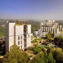 Broumana Forest - Broumana