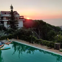 Broumana Forest - Broumana