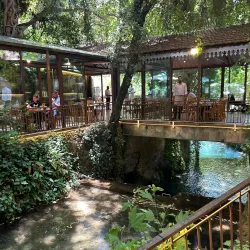 Lebanese Cuisine Restaurants - Chhim (Shheem)