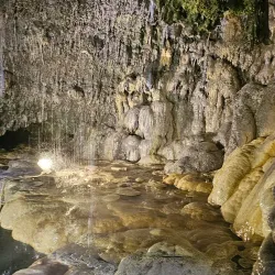 Lebanese Cuisine Restaurants - Chhim (Shheem)