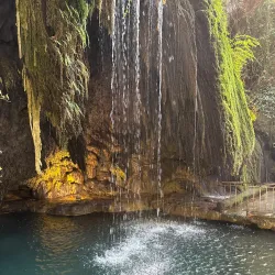 Lebanese Cuisine Restaurants - Chhim (Shheem)