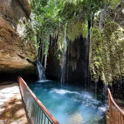 Lebanese Cuisine Restaurants - Chhim (Shheem)