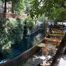 Lebanese Cuisine Restaurants - Chhim (Shheem)