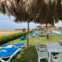 Damour Marina - Damour