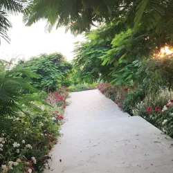 Damour River - Damour