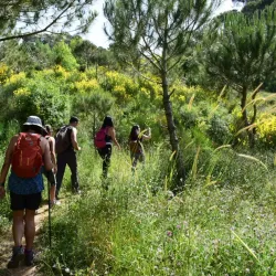 Nearby Hiking Trails - Damour