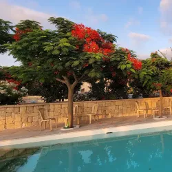 Old Damour Town - Damour