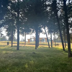 Roman Ruins of Damour - Damour