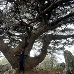 Chouf Cedar Reserve (nearby) - Deir Al Qamar