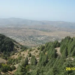 Chouf Cedar Reserve (nearby) - Deir Al Qamar
