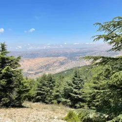 Chouf Cedar Reserve (nearby) - Deir Al Qamar