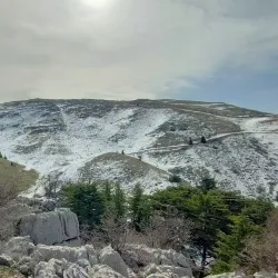 Chouf Cedar Reserve (nearby) - Deir Al Qamar