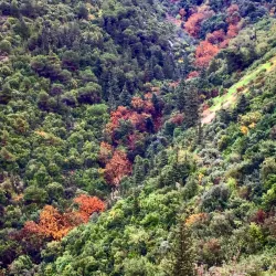 Ghazir Village Walks - Ghazir