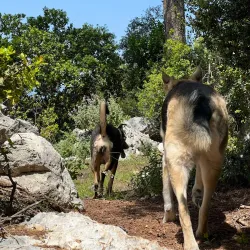 Keserwan Mountains Hiking Trails - Ghazir