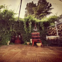 Local Vineyards and Wineries - Hermel