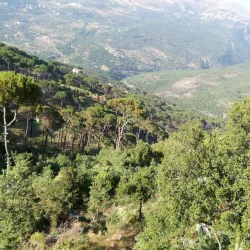 Beirut River Park - Jal el Dib