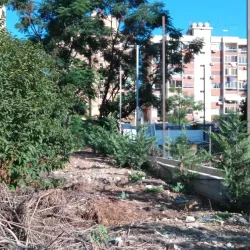 Jal el Dib River - Jal el Dib