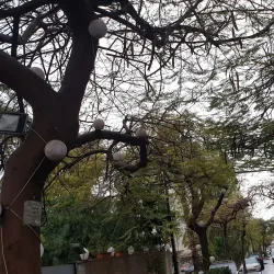 Jal el Dib River - Jal el Dib