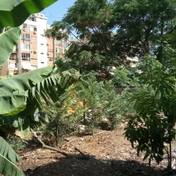 Jal el Dib River - Jal el Dib