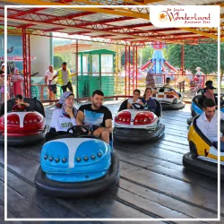 Community Cultural Events - Jubb Jannin