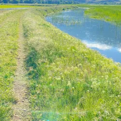 Local Hiking Trails - Jubb Jannin