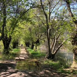 Local Hiking Trails - Jubb Jannin