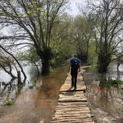 Local Hiking Trails - Jubb Jannin