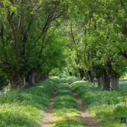 Local Hiking Trails - Jubb Jannin