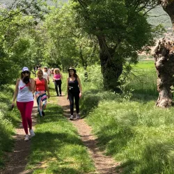 Local Hiking Trails - Jubb Jannin