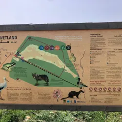 Local Hiking Trails - Jubb Jannin