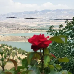 Traditional Lebanese Restaurant - Jubb Jannin