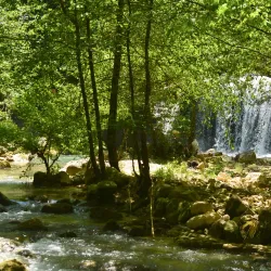 Juniyah Nature Trails - Juniyah