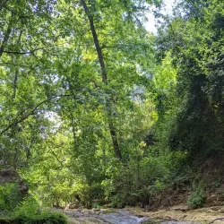 Juniyah Nature Trails - Juniyah