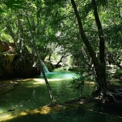 Juniyah Nature Trails - Juniyah