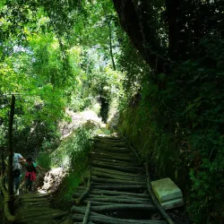 Juniyah Nature Trails - Juniyah