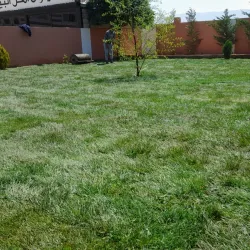 Juniyah Public Park - Juniyah