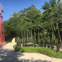 Juniyah Public Park - Juniyah