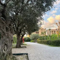 Juniyah Public Park - Juniyah