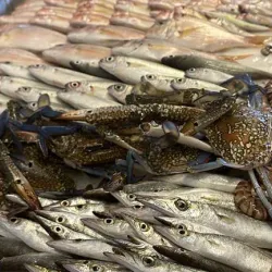 Local Seafood Restaurants - Juniyah