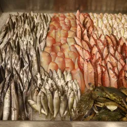 Local Seafood Restaurants - Juniyah