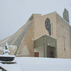 Qoubaiyat Olive Groves - Qoubaiyat (Kobayat)