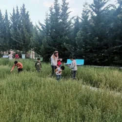 Qoubaiyat Public Park - Qoubaiyat (Kobayat)