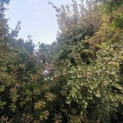 Qoubaiyat Public Park - Qoubaiyat (Kobayat)