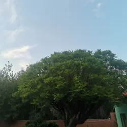 Qoubaiyat Public Park - Qoubaiyat (Kobayat)