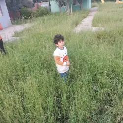 Qoubaiyat Public Park - Qoubaiyat (Kobayat)