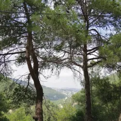 Qoubaiyat Valley - Qoubaiyat (Kobayat)