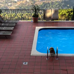 Community Cultural Center - Salima